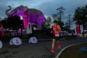 BIB: 
                            <button type="button" onclick="openModal(26529642)" class="btn btn-primary btn-sm float-right btn-popup" data-toggle="modal" data-target=".modal-high-quality">
                        <i class="fas fa-shopping-cart"></i> Add to Cart
                    </button>
                                            <button type="button" onclick="isThisMe(26529642, true)" class="btn btn-success btn-sm float-right btn-popup btn-isme hidden" data-toggle="tooltip" data-placement="bottom" title="นี่คือรูปของคุณใช่ไหม คลิกที่นี่เพื่อเอาเข้าอัลบั้ม">
                        <i class="fas fa-plus"></i> Add to album
                    </button>
                    <button type="button" onclick="isThisMe(26529642, false)" class="btn btn-warning btn-sm float-right btn-popup btn-isnotme hidden">
                        <i class="fas fa-ban"></i> Remove from album
                    </button>